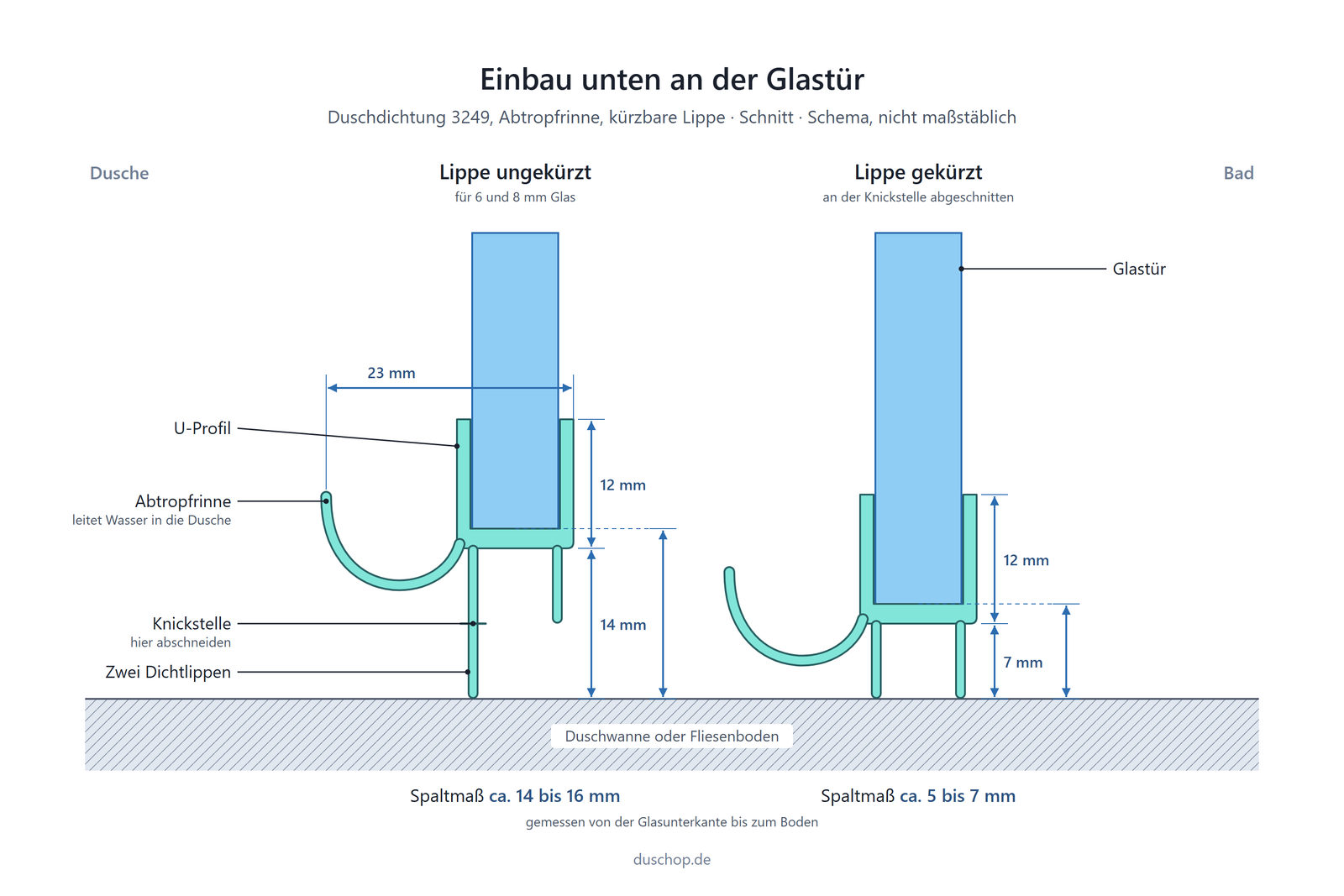 Einbauskizze Duschdichtung mit Abtropfrinne und kürzbarer Lippe unten an der Glastür, Spaltmaß bei 6 und 8 mm Glas