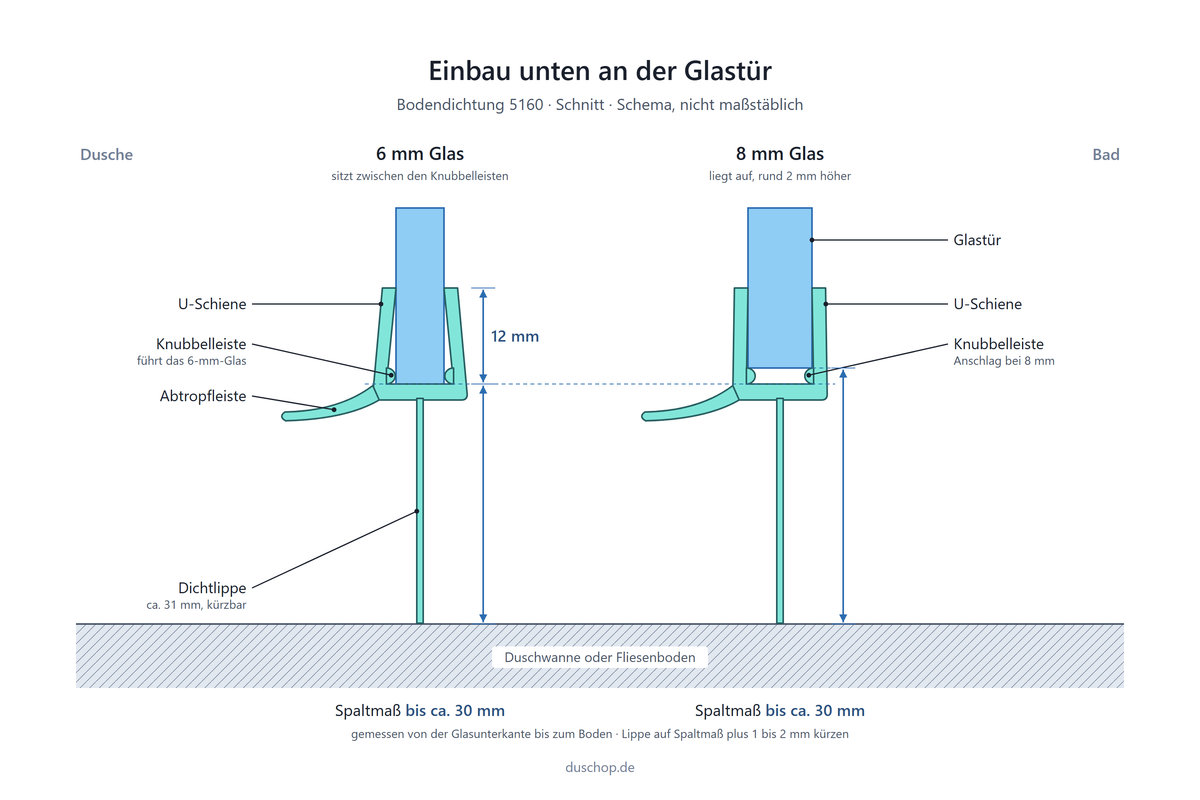 Einbauskizze 5160, Bodendichtung mit kürzbarer Lippe unten an der Glastür, Spaltmaß bei 6 und 8 mm Glas