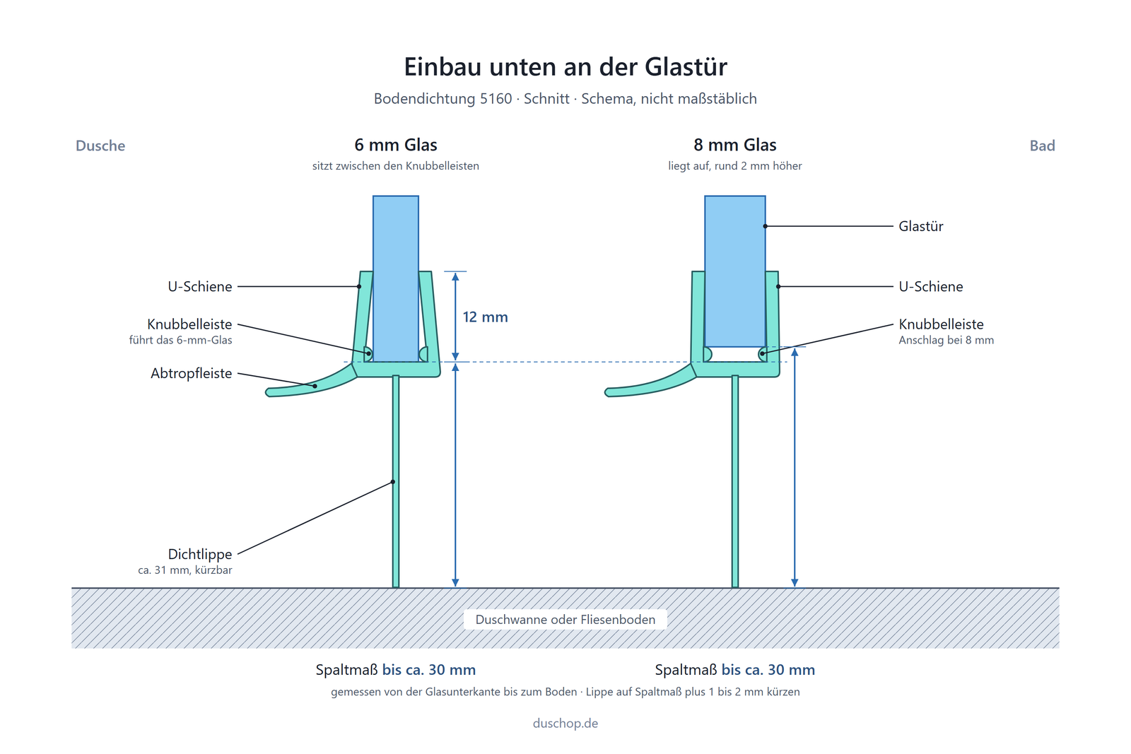 Einbauskizze 5160, Bodendichtung mit kürzbarer Lippe unten an der Glastür, Spaltmaß bei 6 und 8 mm Glas